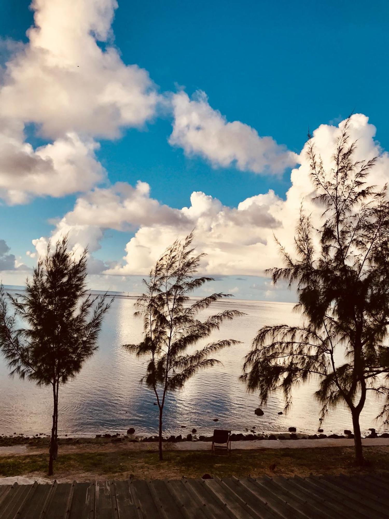 Bon Vivant Front De Mer - Ile Rodrigues Port Mathurin Buitenkant foto