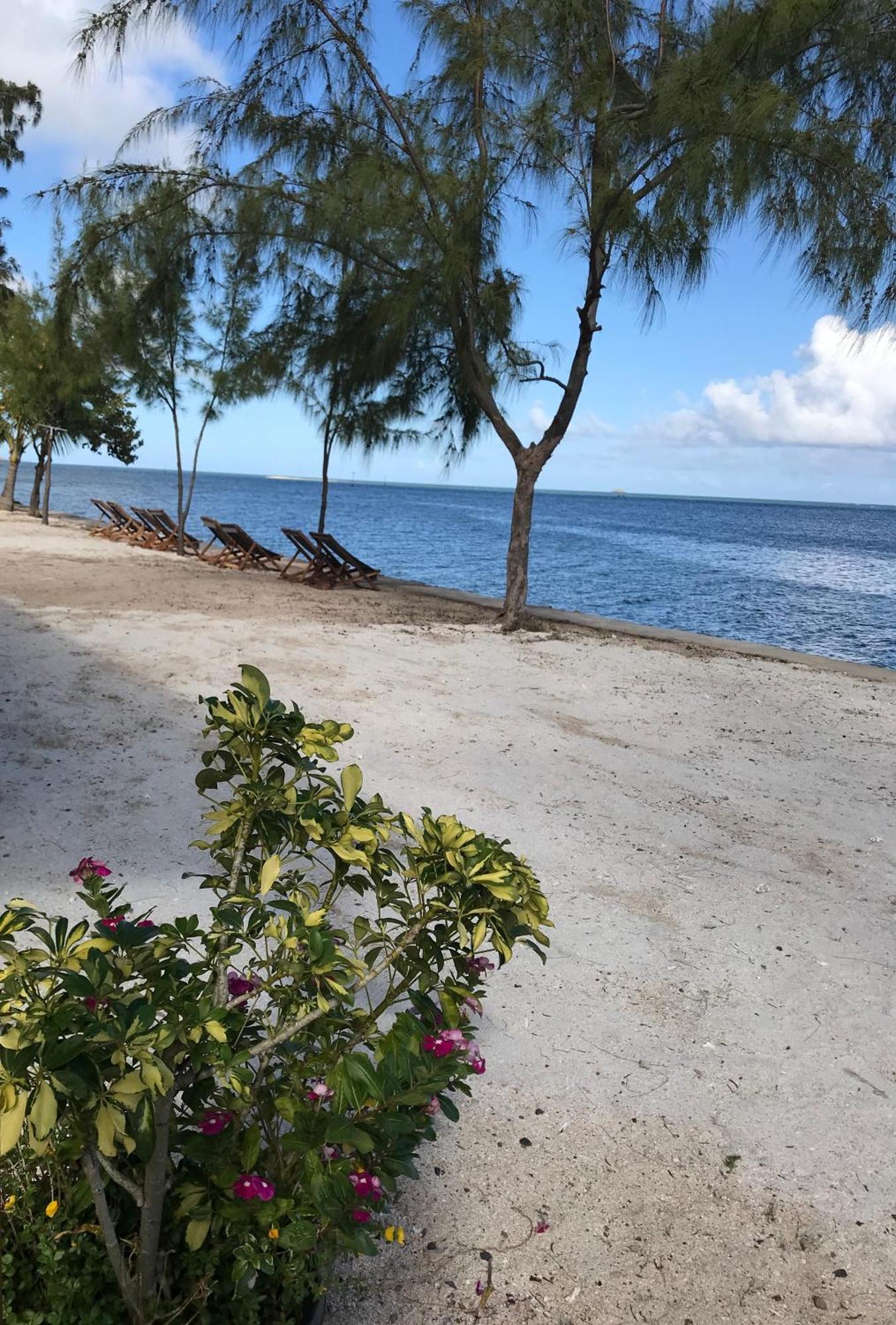 Bon Vivant Front De Mer - Ile Rodrigues Port Mathurin Buitenkant foto
